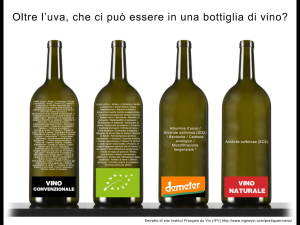 foto additivi vino